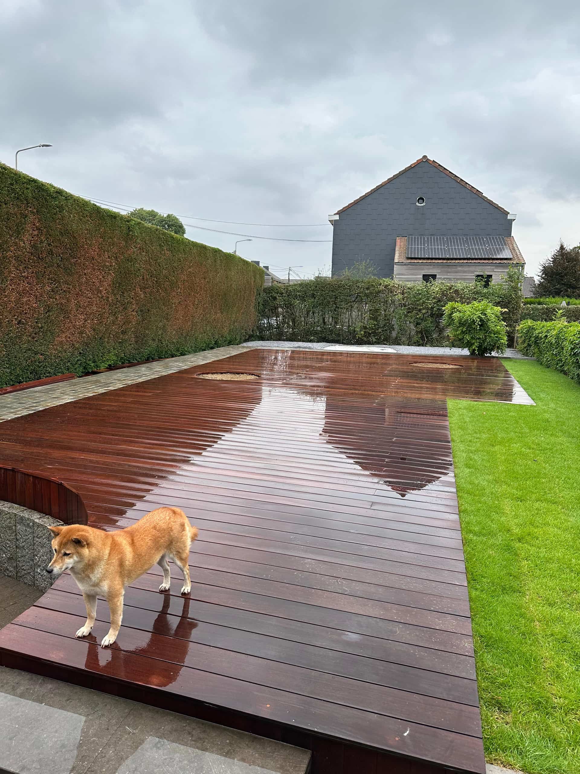 Jardin conçu par Renoday, architecte paysagiste en Belgique