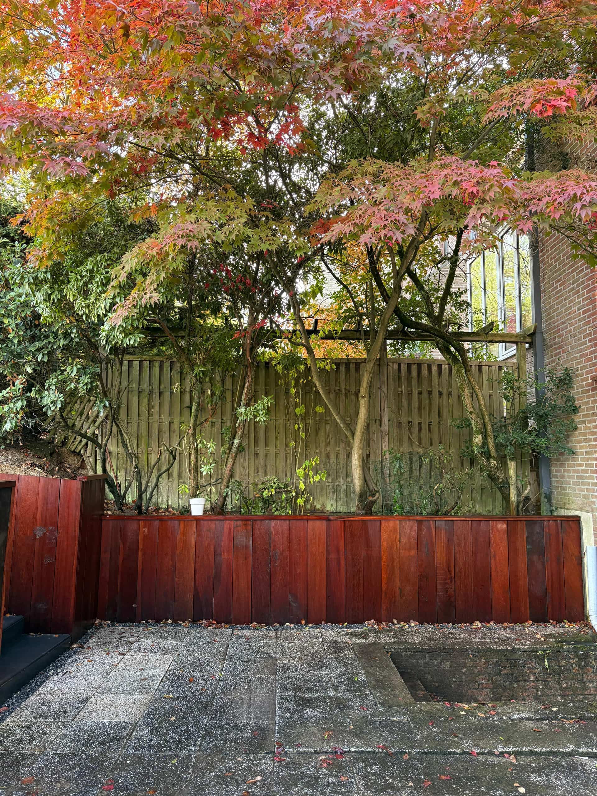 Jardin conçu par Renoday, architecte paysagiste en Belgique